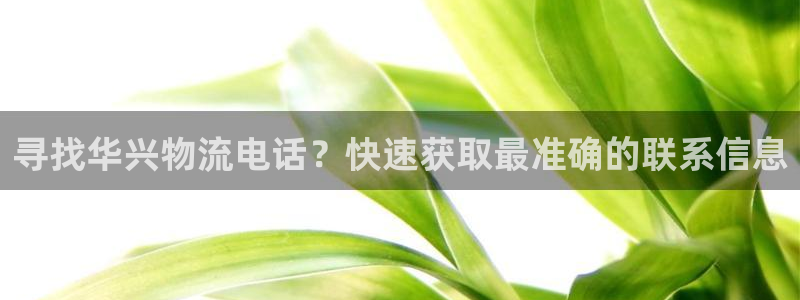 28圈正规吗?：寻找华兴物流电话？快