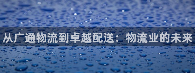 28圈激活码：从广通物流到卓越配送：