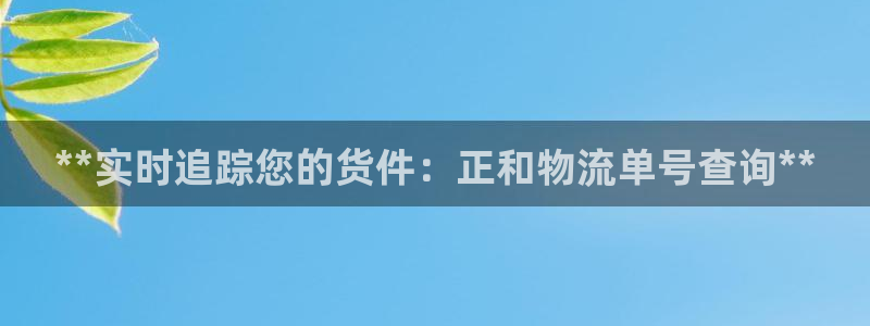 28圈辅助：**实时追踪您的货件：正