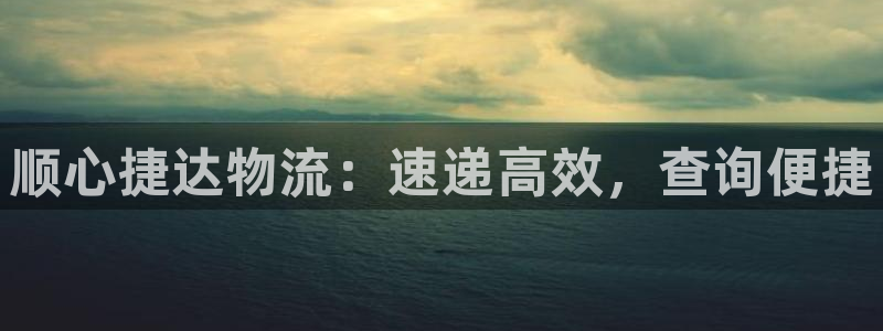 28圈充值不处理怎么办：顺心捷达物流