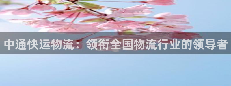 28圈充值不到账怎么回事