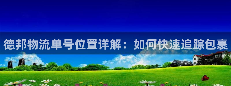 28圈：德邦物流单号位置详解：如何快