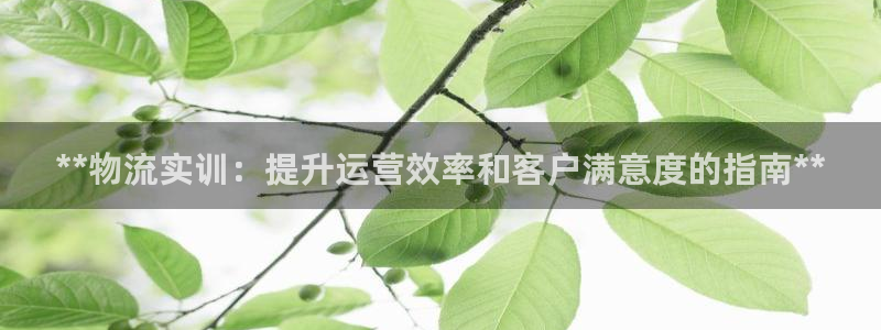 28圈官方平台：**物流实训：提升运